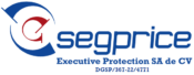 SEGPRICE